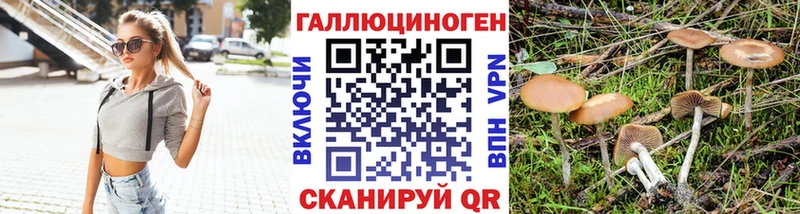 Псилоцибиновые грибы Psilocybine cubensis  Людиново 